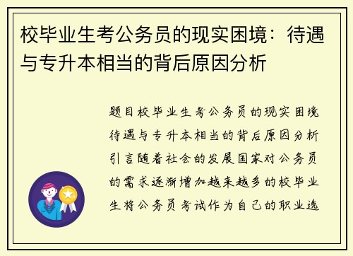 校毕业生考公务员的现实困境：待遇与专升本相当的背后原因分析