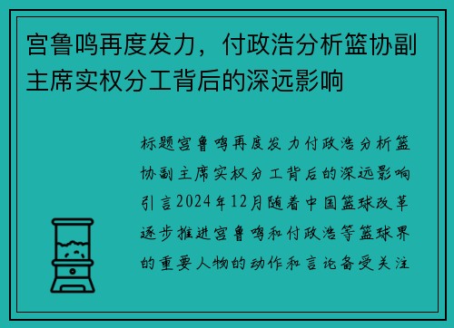 宫鲁鸣再度发力，付政浩分析篮协副主席实权分工背后的深远影响